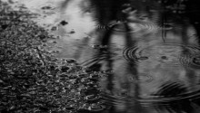 Download B&W Water puddle PS Vita Wallpaper