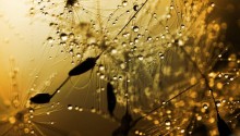 Download Rainy screen PS Vita Wallpaper