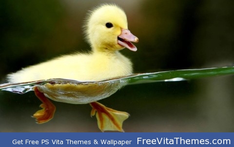 duckling PS Vita Wallpaper